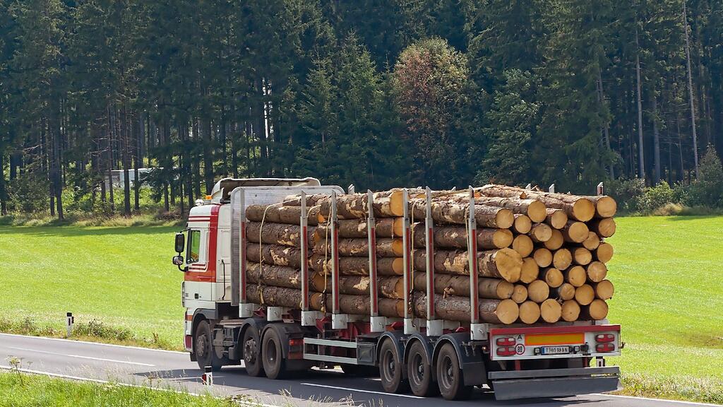 In Maishofen im Pinzgau fielen vier Meter lange Baumstämme von einem Lkw auf die Fahrbahn.