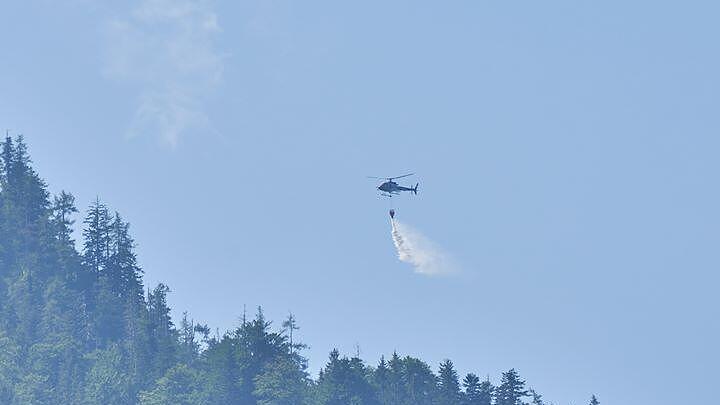 Waldbrand Scheffau