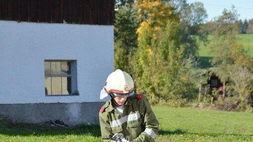 Bilder der Herbstübung