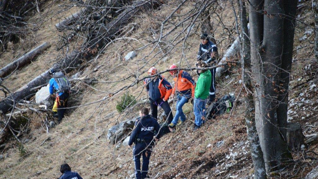 Paragleiter in Baum hängengeblieben