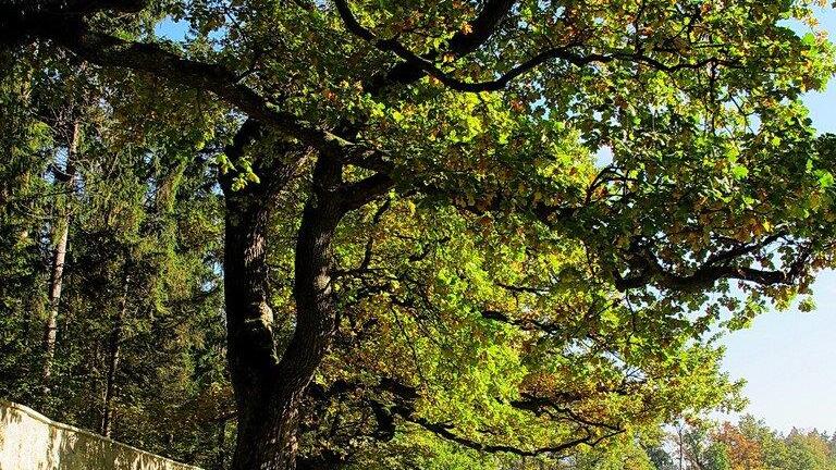 Herbstbilder aus Hellbrunn