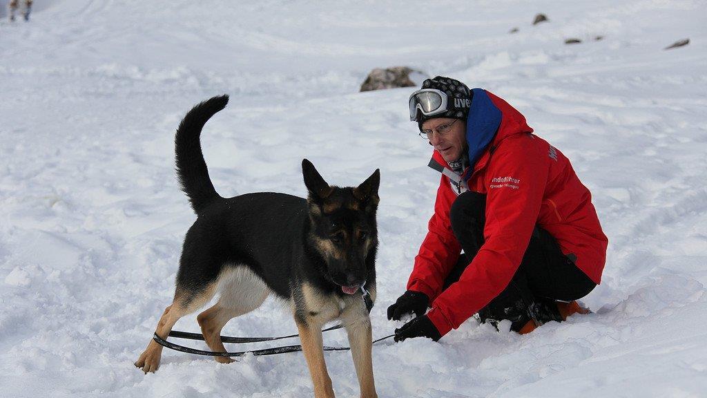 Superhunde im Einsatz