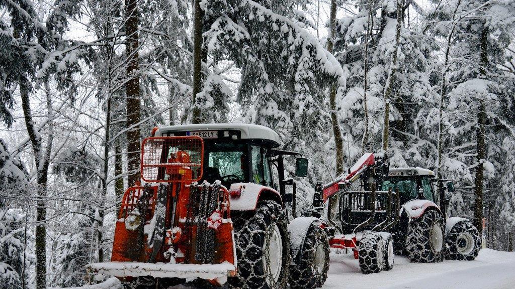 Wintereinbruch am Gaisberg