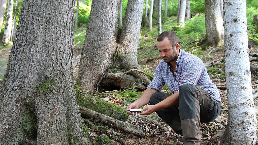 Wald Trockenheit, Messstationen