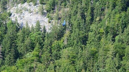 Paragleiter bleibt in Baum hängen