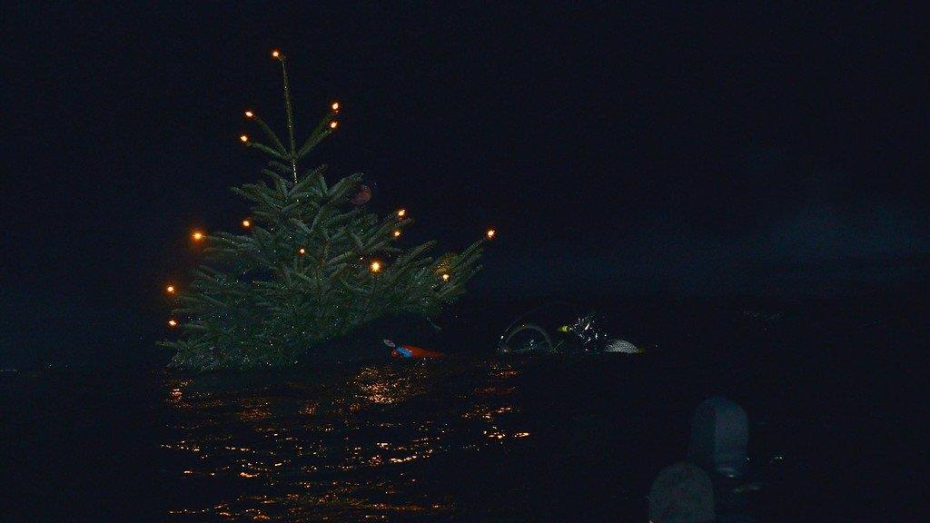 Christbaumtauchen am Traunsee