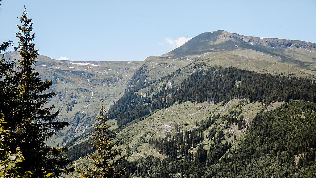 _K6B0523.jpg