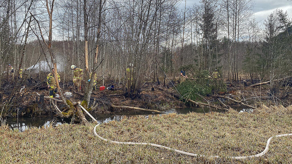 Schilfbrand Grödig