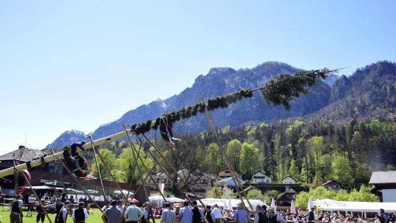 Maibaumaufstellen in Grödig