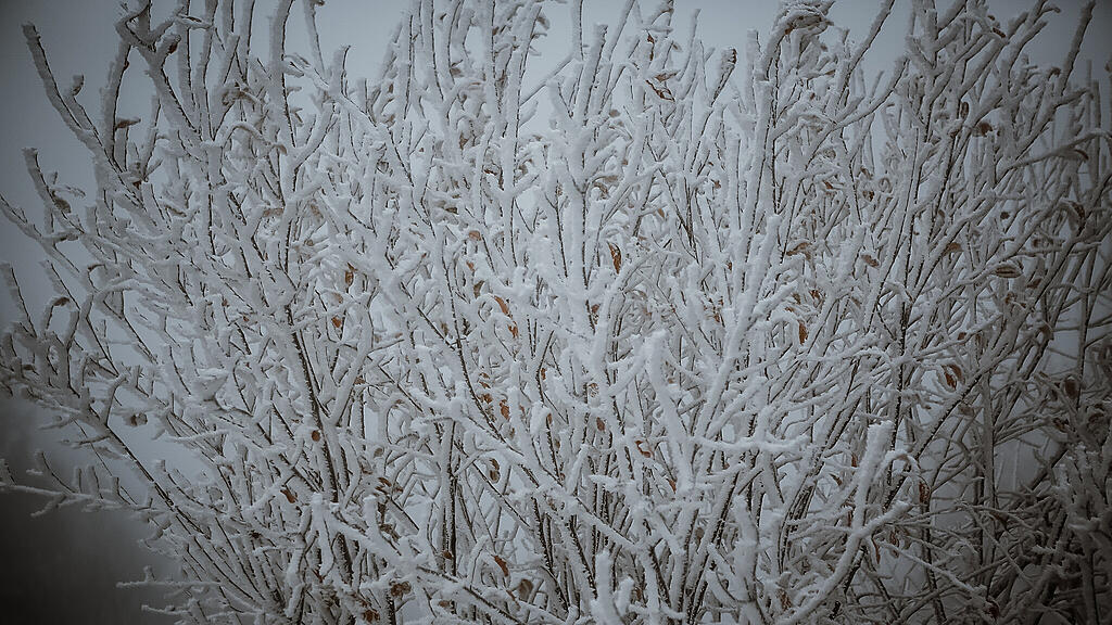 Schnee am Gaisberg