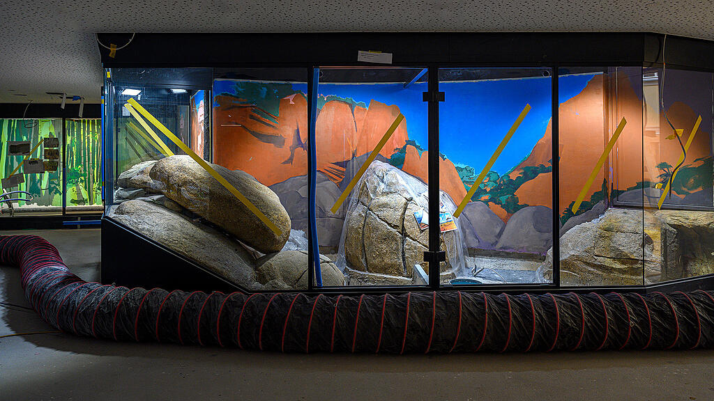 Haus der Natur: Umbau f\u00fcr Amphibien- und Reptilienzoo