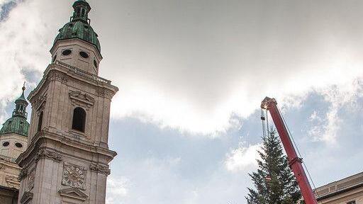 Christbaum am Residenzplatz I