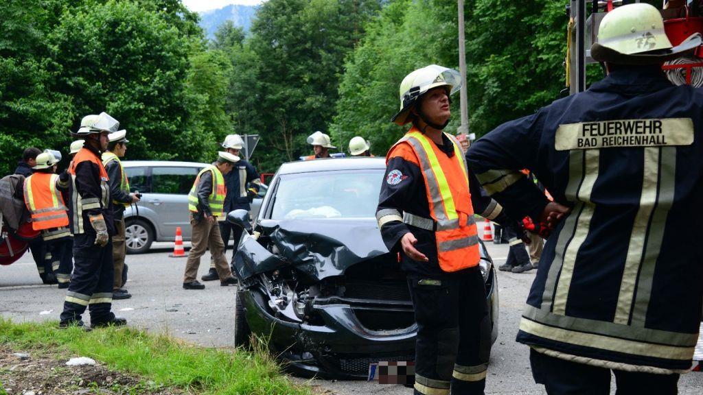 Pinzgauerinnen in Bayern verletzt, I