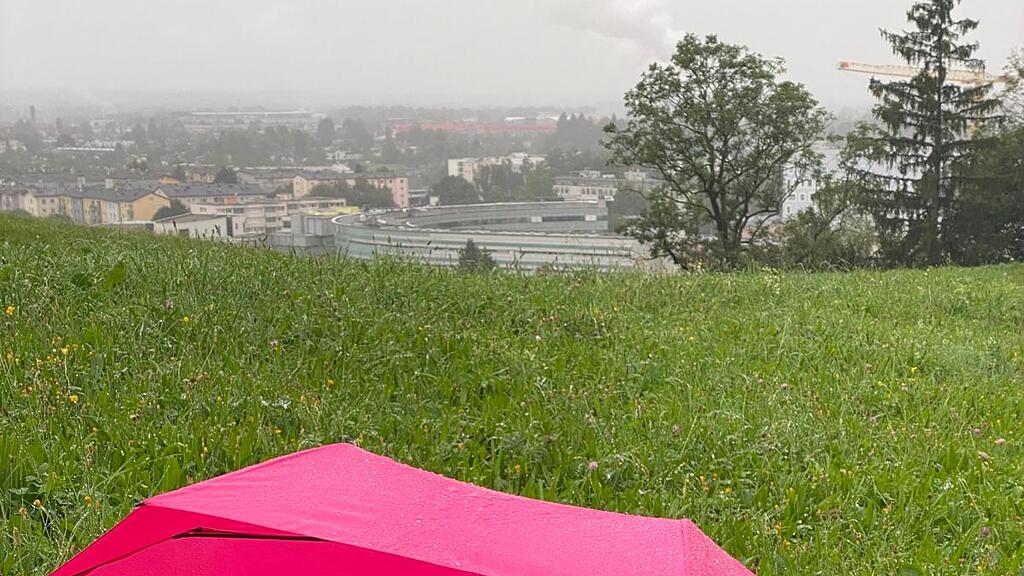 Welthundetag 2025: Salzburgs beste Bilder II