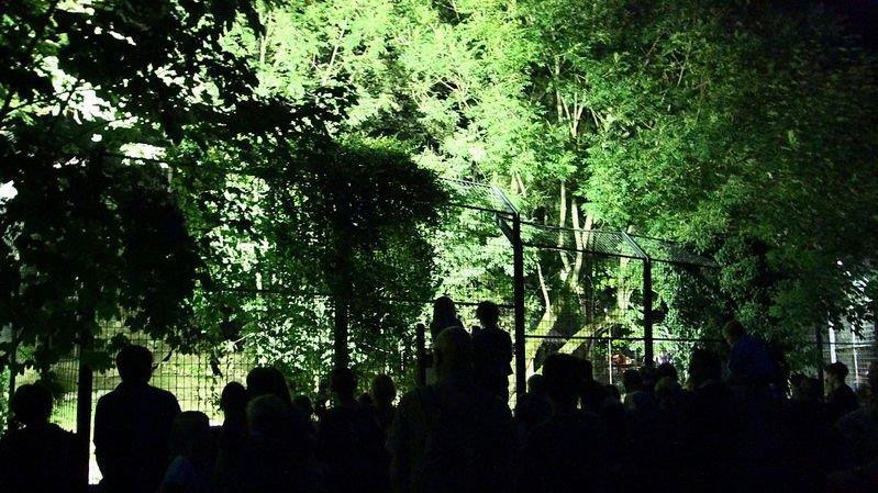 Nachtzoo in Salzburg