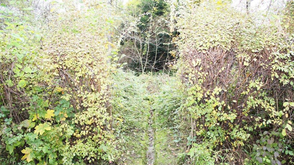 Hier soll gebaut werden