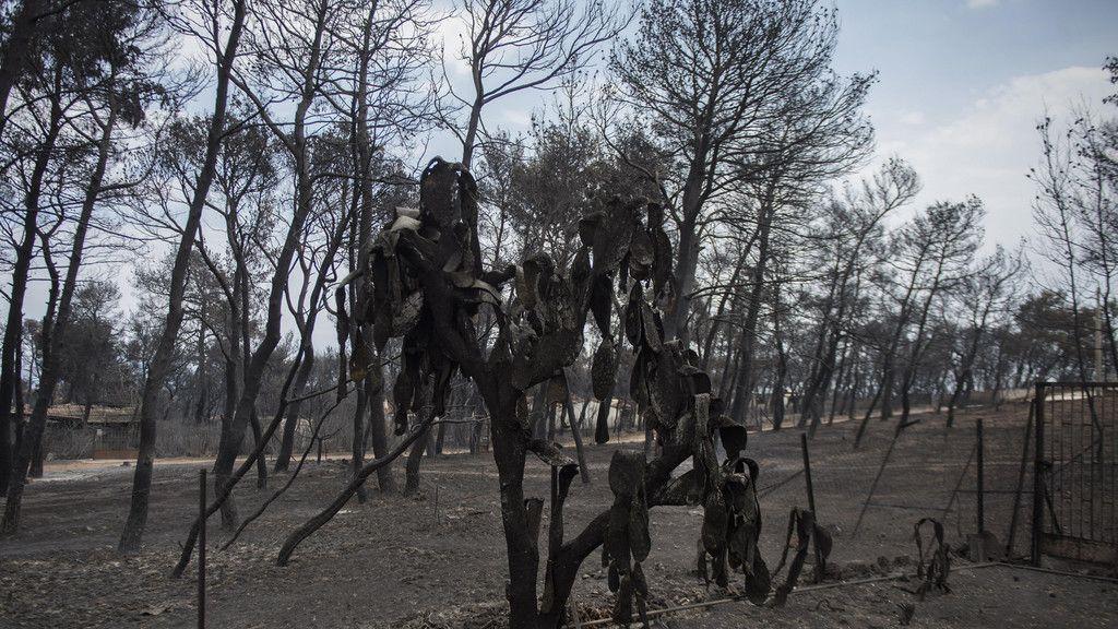 Waldbrand in Athen: Tag 2