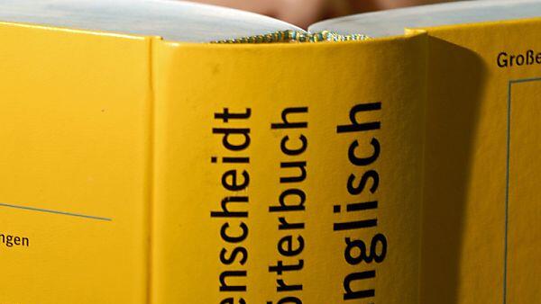 Eine zweite Fremdsprache lernen die Österreicher weniger gern