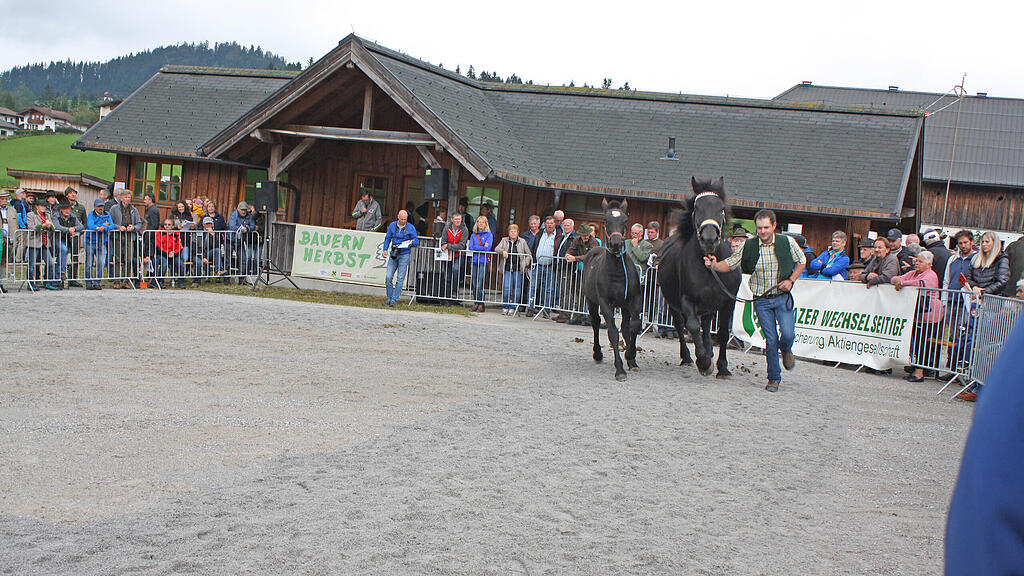 Rösslmarkt Abtenau 2021