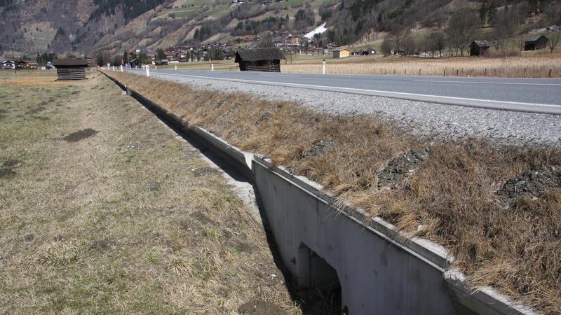 Froschklauber im Einsatz
