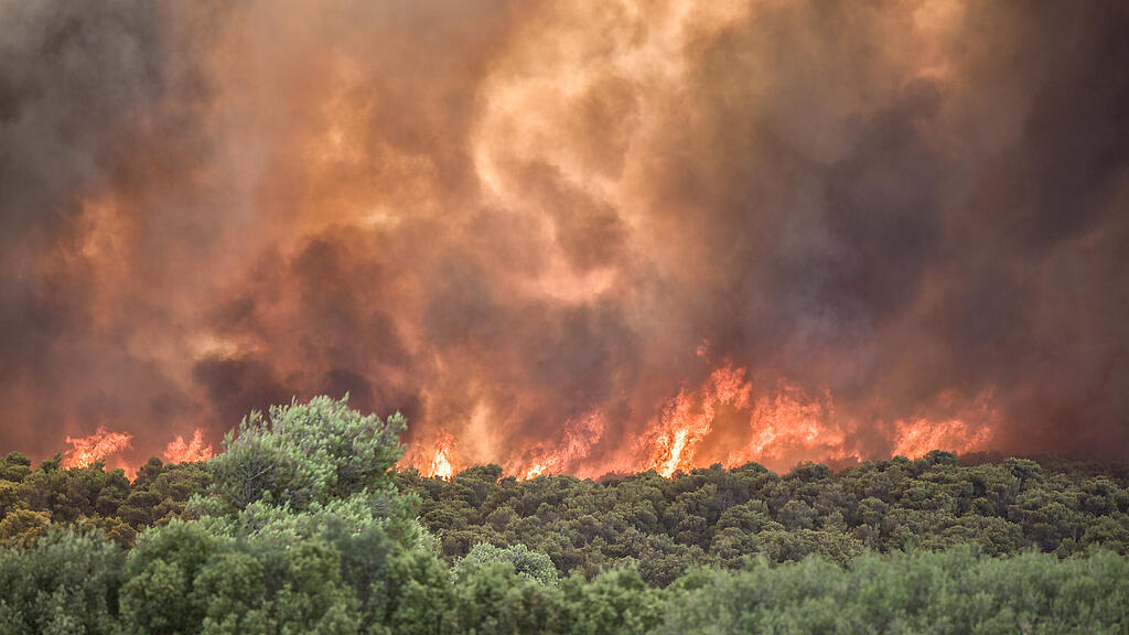 Waldbrände wüten in Griechenland