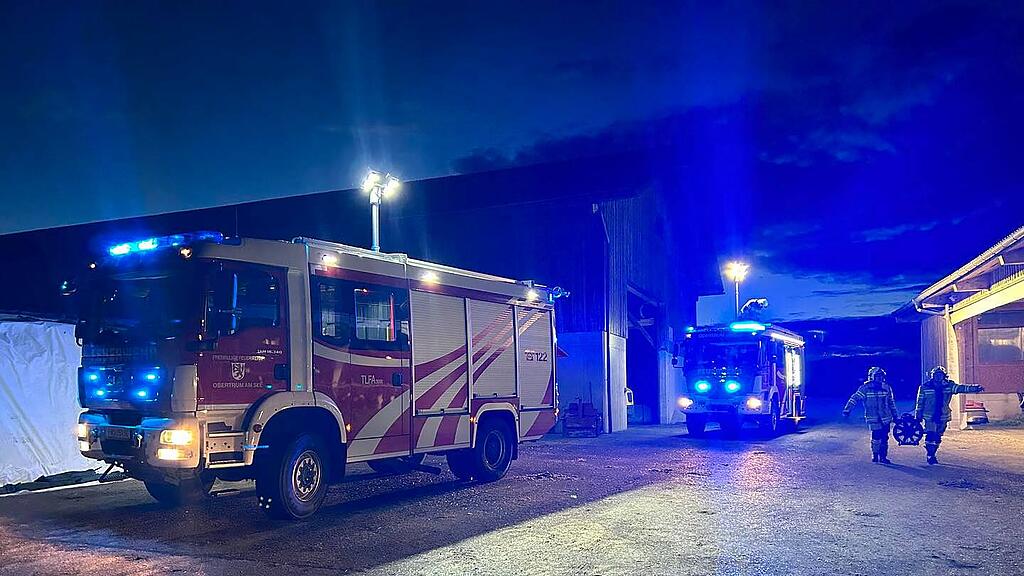 Feuerwehr Obertrum rettet Kuh aus Güllegrube