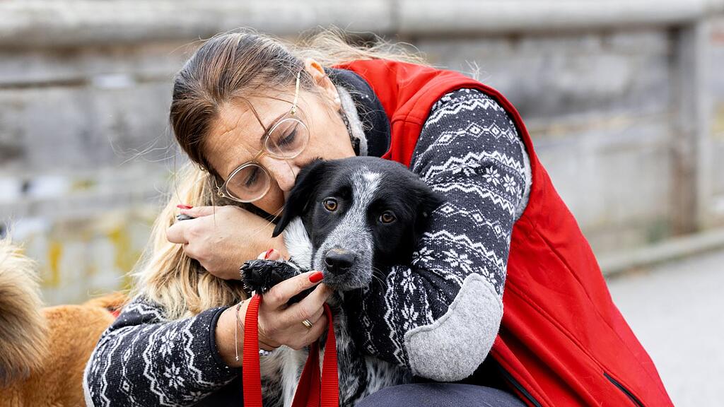 Gut Aiderbichl Tierpflegerin mit Hund.JPG