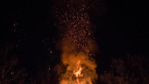 Burning Animal I