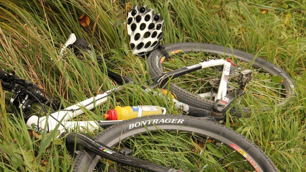 Radfahrer kollidiert mit Hund