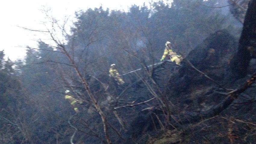 Waldbrand in Fusch