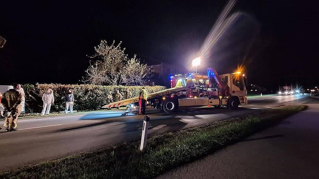 Unfall Hecke Thalgau