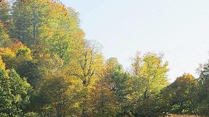 Herbstbilder aus Hellbrunn
