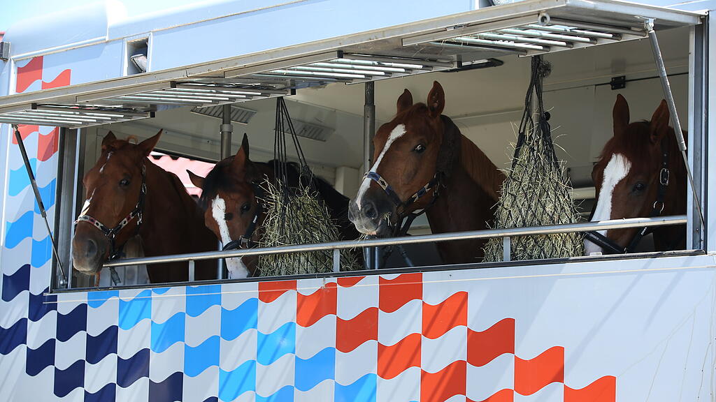 Landesmeisterschaft Springreiten 2022 Elixhausen