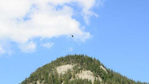 Paragleiter bleibt in Baum hängen