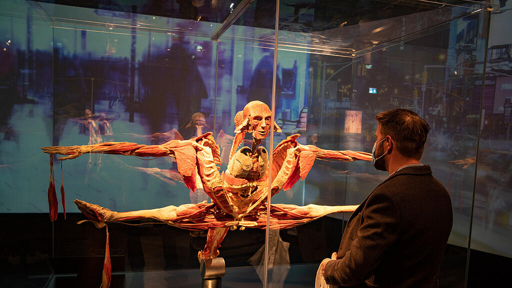 Ausstellung Körperwelten Salzburg I