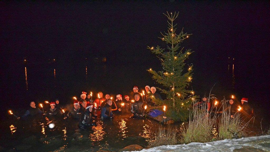 Christbaumschwimmen in Schärding