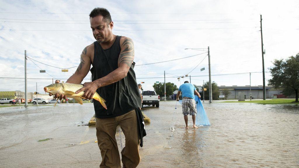 Aufräumen nach Hurrikan "Harvey"