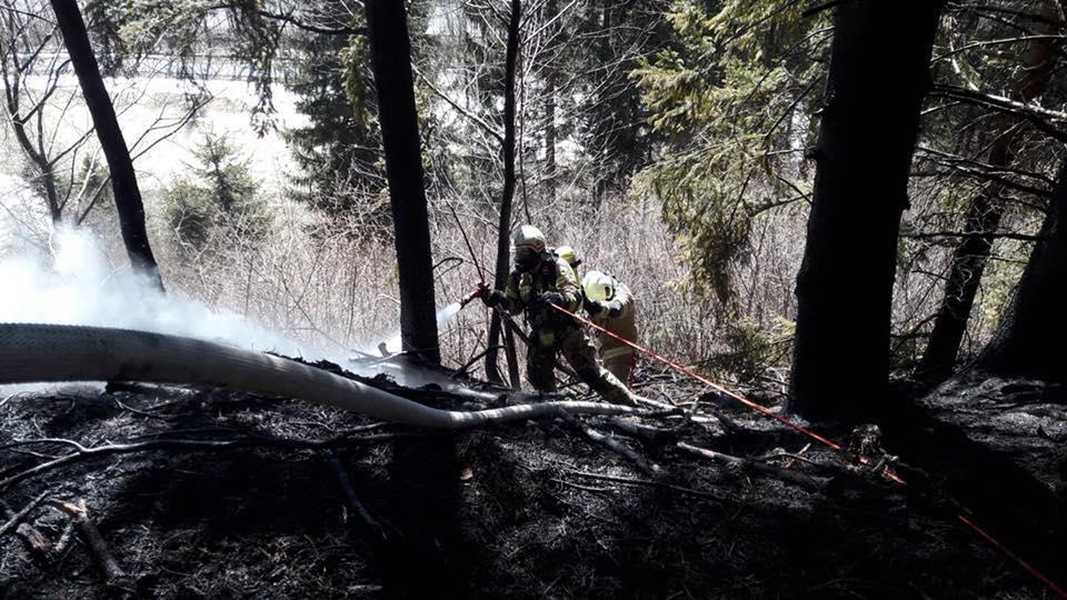 Waldbrand in St. Michael