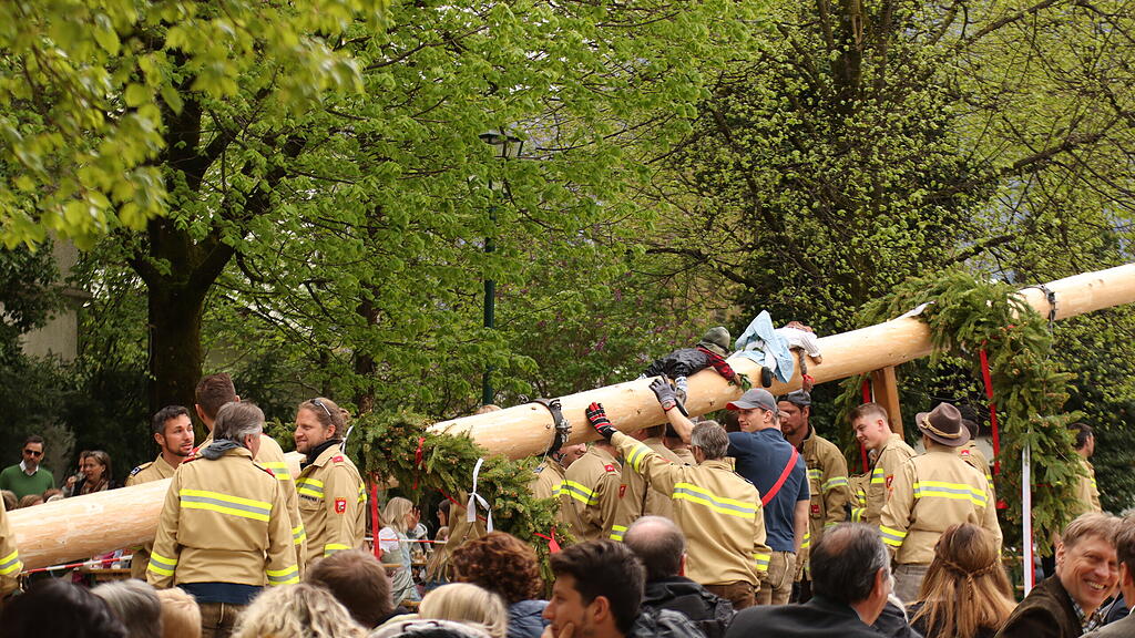 Maibaumaufstellen in Anif
