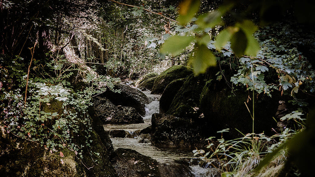 Alterbach, Gaisberg-7.jpg