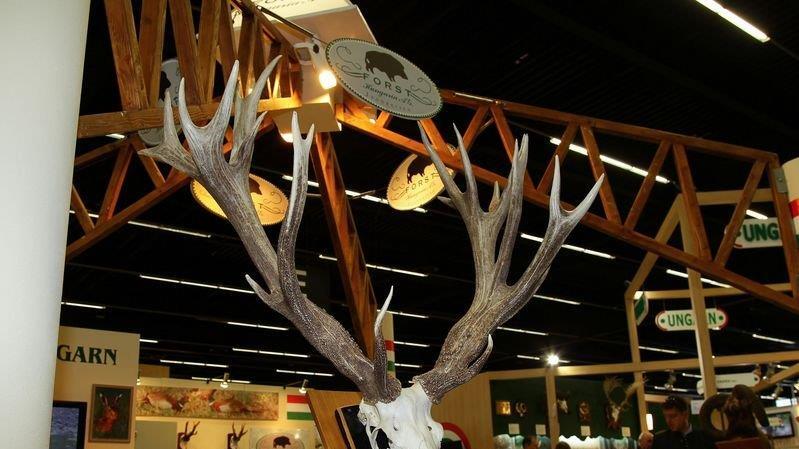 Die Jagdmesse ist eröffnet