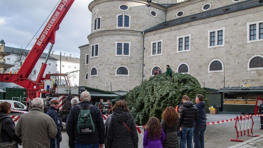 Christbaum am Residenzplatz I