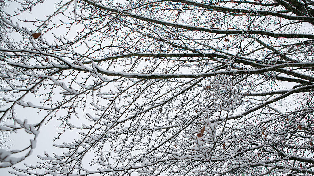 Schnee am Haunsberg
