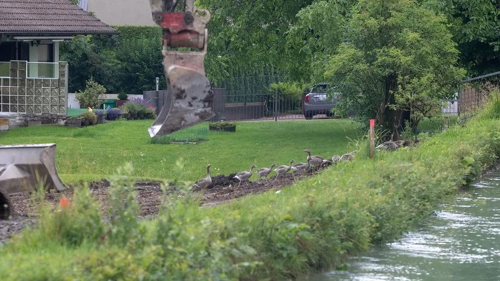 Baustelle am Almkanal