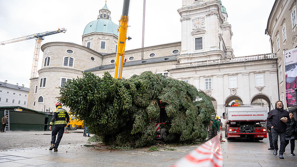 Baum am Christkindlmarkt eingetroffen