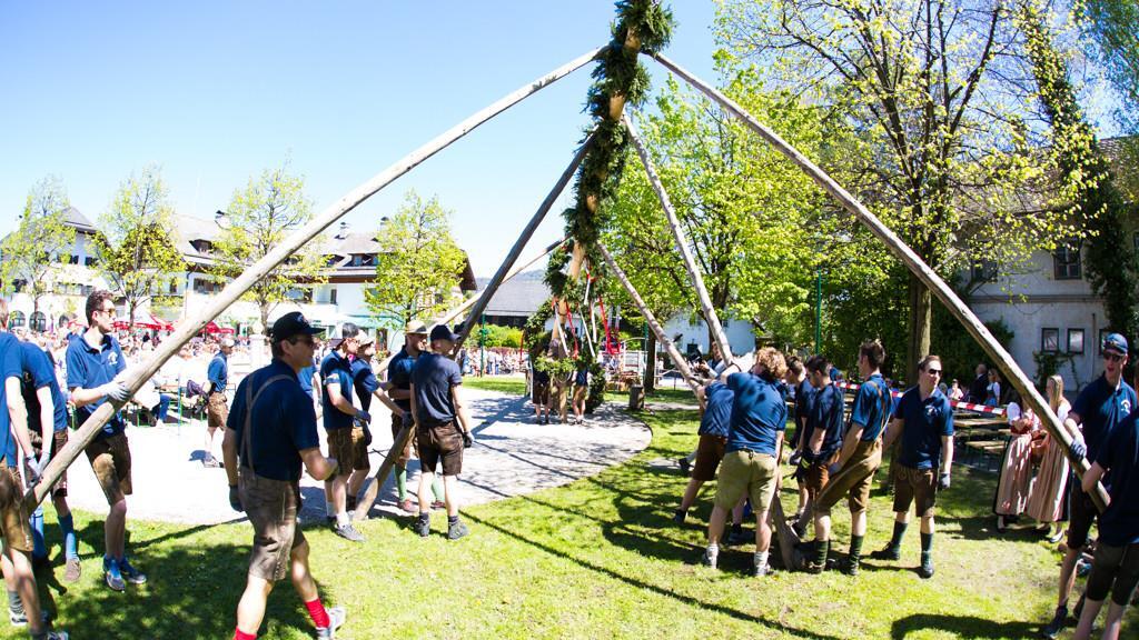 Maibaum in Anif