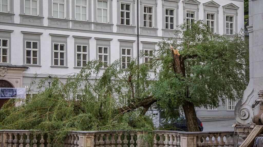 Bei der Kapitelschwemme in der Stadt Salzburg haben die Böen einen Baum einknicken lassen.