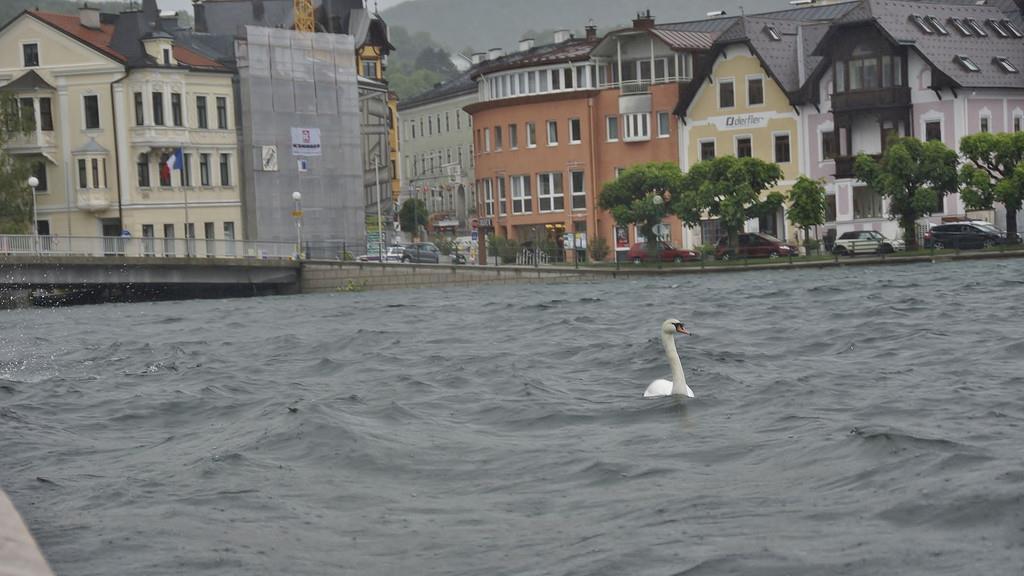 Gmunden überschwemmt