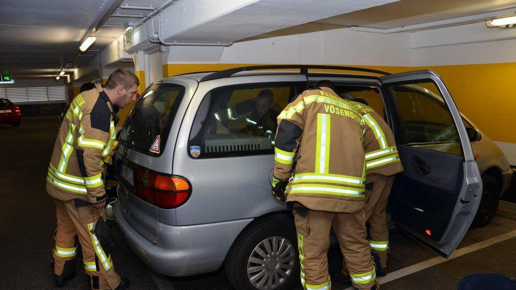 BFK Mödling rettet Sammy
