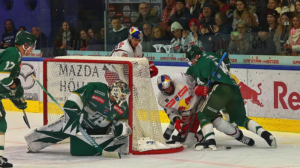 ICE Hockey League: EC Red Bull Salzburg gegen Ferencvaros Budapest